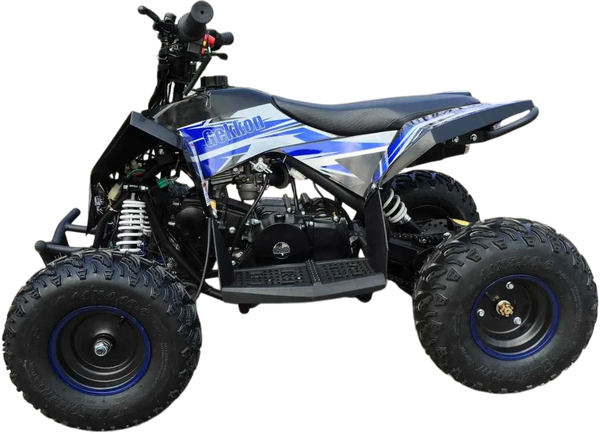 Квадроцикл Motax Gekkon 90