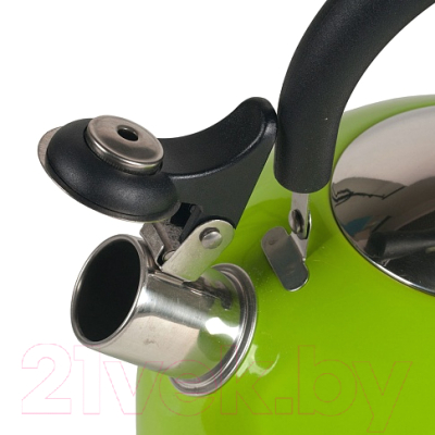 Чайник со свистком Endever Aquarelle-303 (зеленый)
