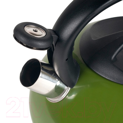 Чайник со свистком Endever Aquarelle-305 (темно-зеленый)