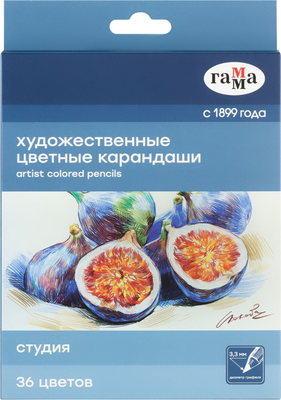 Набор цветных карандашей ГАММА Студия / 100822_36 (36цв) - 