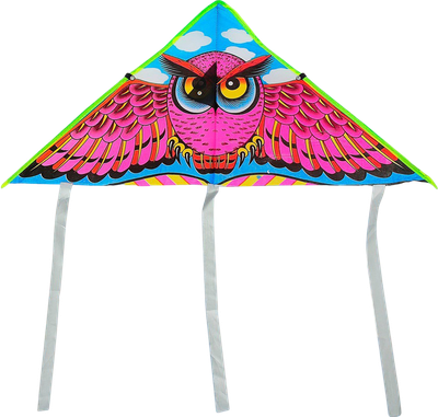 Воздушный змей Funny Toys Сова / 1211396 - 