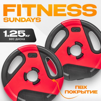 Набор дисков для штанги Sundays Fitness IR91041 (2х1.25кг) -