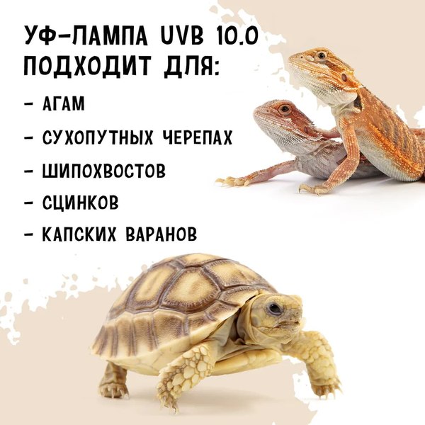 Лампа для террариума Mclanzoo Desert UVB10 26Вт / 8622073/MZ