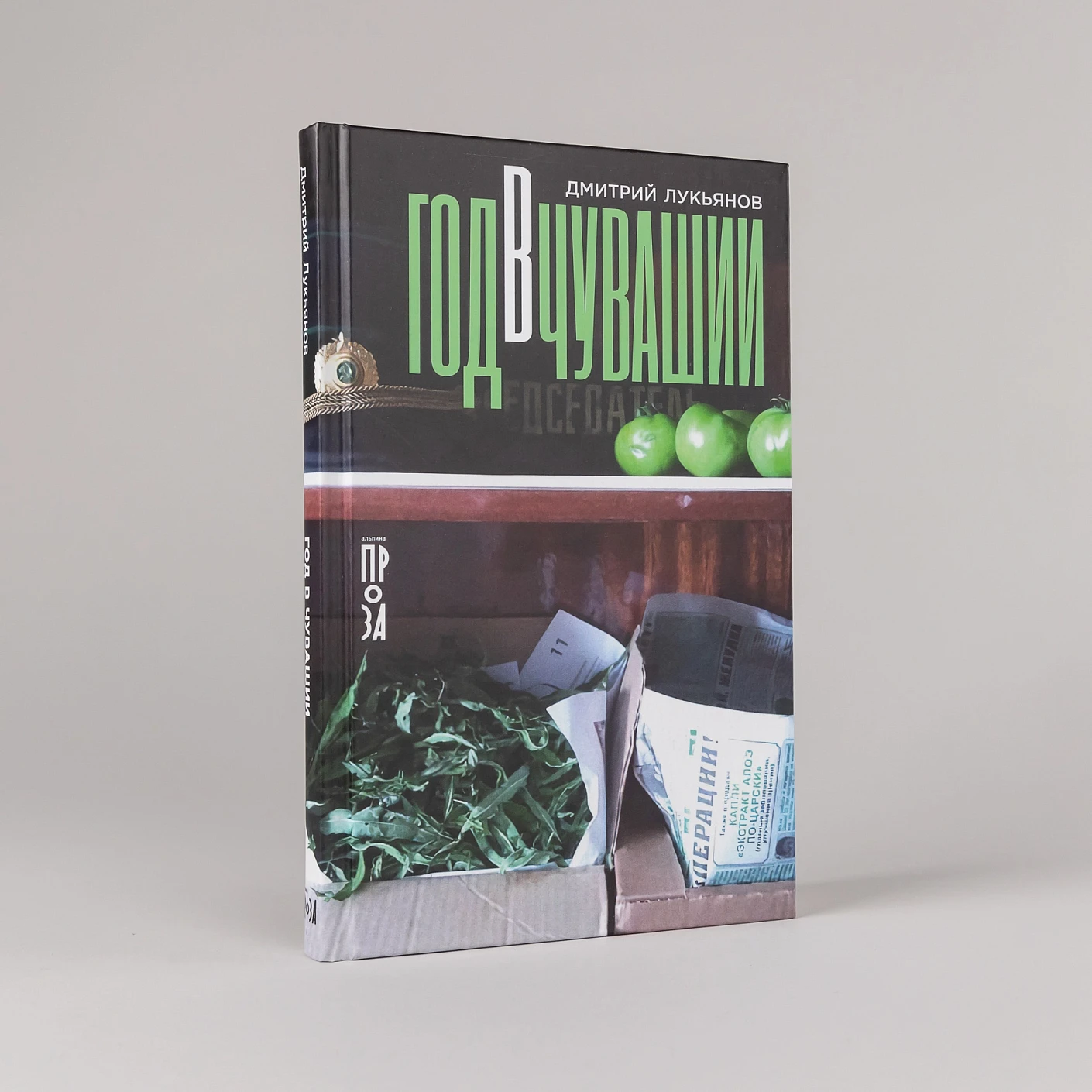 Художественная книга Альпина Год в Чувашии (Лукьянов Дмитрий 9785002233588) — фото 2