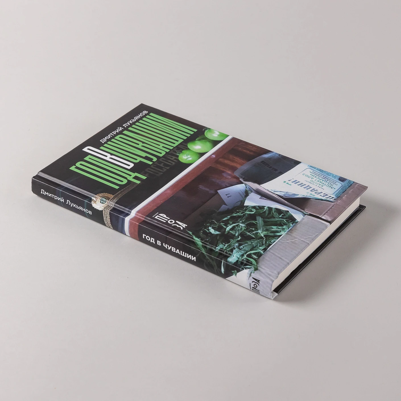 Художественная книга Альпина Год в Чувашии (Лукьянов Дмитрий 9785002233588) — фото 5
