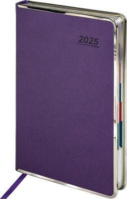 

Ежедневник, Infinity Silver 2025 / 115723