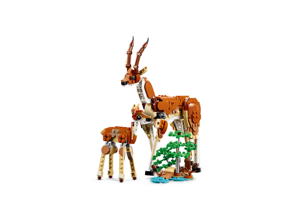 Конструктор Lego Creator Дикие животные сафари 31150