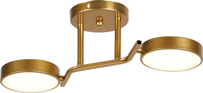 

Потолочный светильник, 10273/2 LED