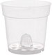 Вазон BOTANICA Clear 7.6x7см - 