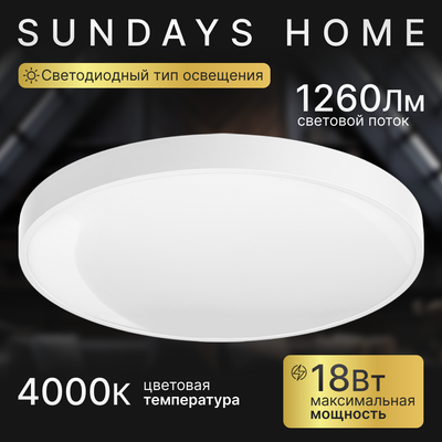 Потолочный светильник Sundays Home 240924-10 / 5733 (белый) - 