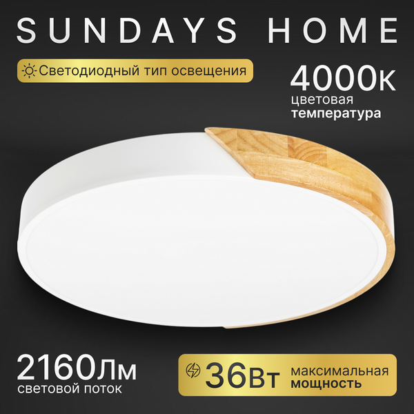 Потолочный светильник Sundays Home 240924-19 / 5825