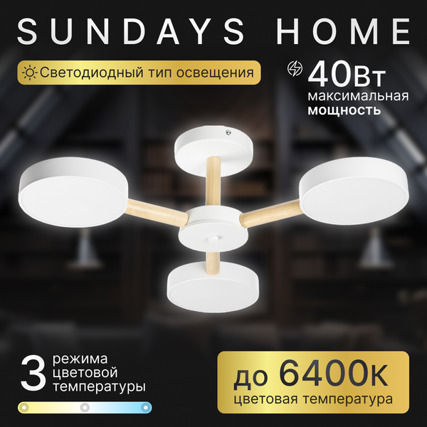 Люстра Sundays Home 240924-22 / 5849