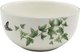 Салатник Prima Collection Дикий папоротник PC76WF580 - 
