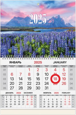 

Календарь настенный, Люпины 2025г квартальный / 116085