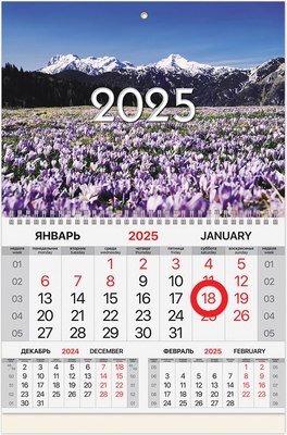 

Календарь настенный, Горы 2025г квартальный / 116087