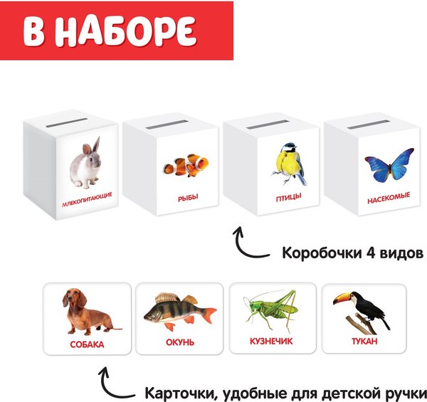 Сортер Zabiaka IQ Сортер-копилка. Животные / 5437201