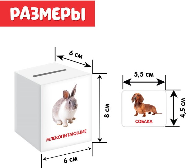 Сортер Zabiaka IQ Сортер-копилка. Животные / 5437201