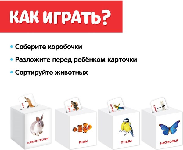 Сортер Zabiaka IQ Сортер-копилка. Животные / 5437201