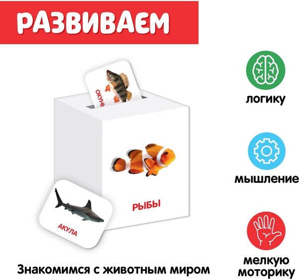 Сортер Zabiaka IQ Сортер-копилка. Животные / 5437201