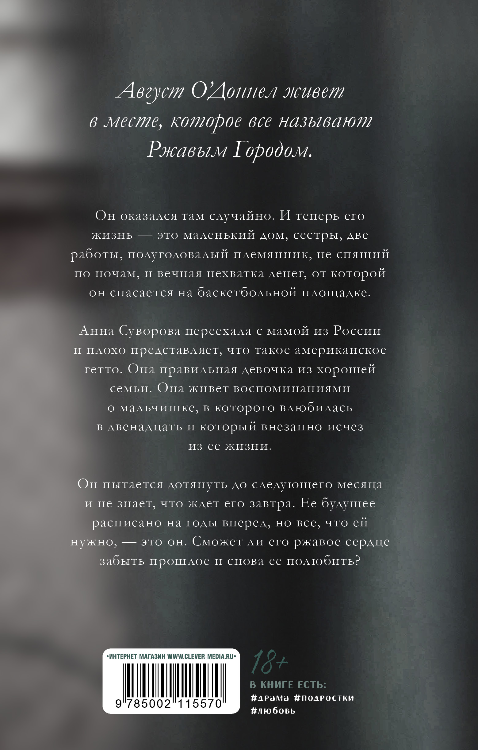 Набор художественных книг CLEVER Парадокс севера. Ржавчина, твердая обложка (Побединская Виктория) — фото 5