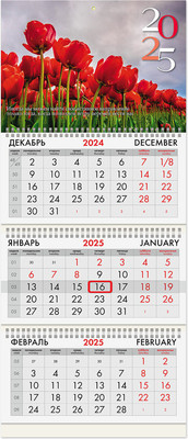 

Календарь настенный, Тюльпаны 2025г квартальный / 116109