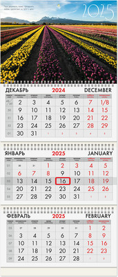 

Календарь настенный, Долина цветов 2025г квартальный / 116098