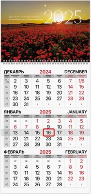 

Календарь настенный, 2025г квартальный / 116129