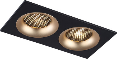 Точечный светильник Ambrella TN102735/2 BK/GD (черный/золото) - 