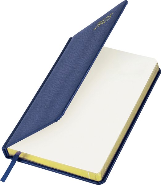Ежедневник Brauberg Iguana 2025 / 115781 (синий)