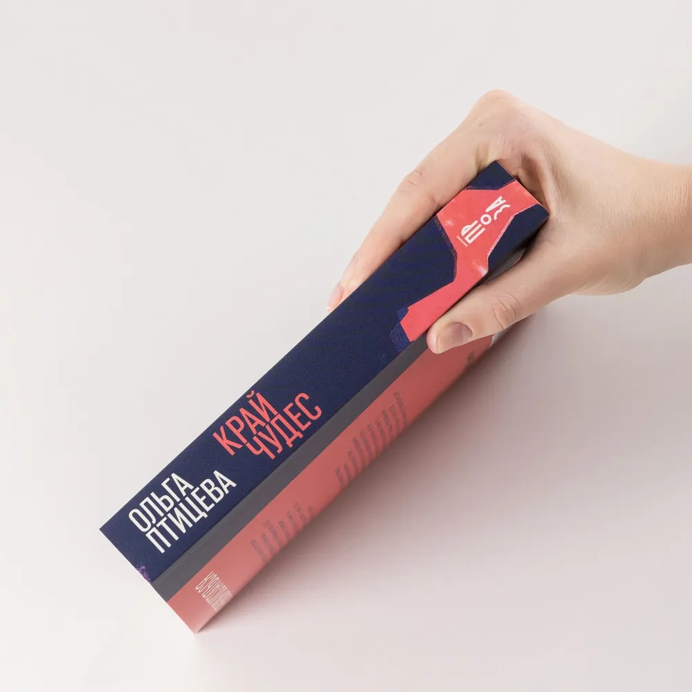 Художественная книга Альпина Край чудес, мягкая обложка (Птицева Ольга ) — фото 3