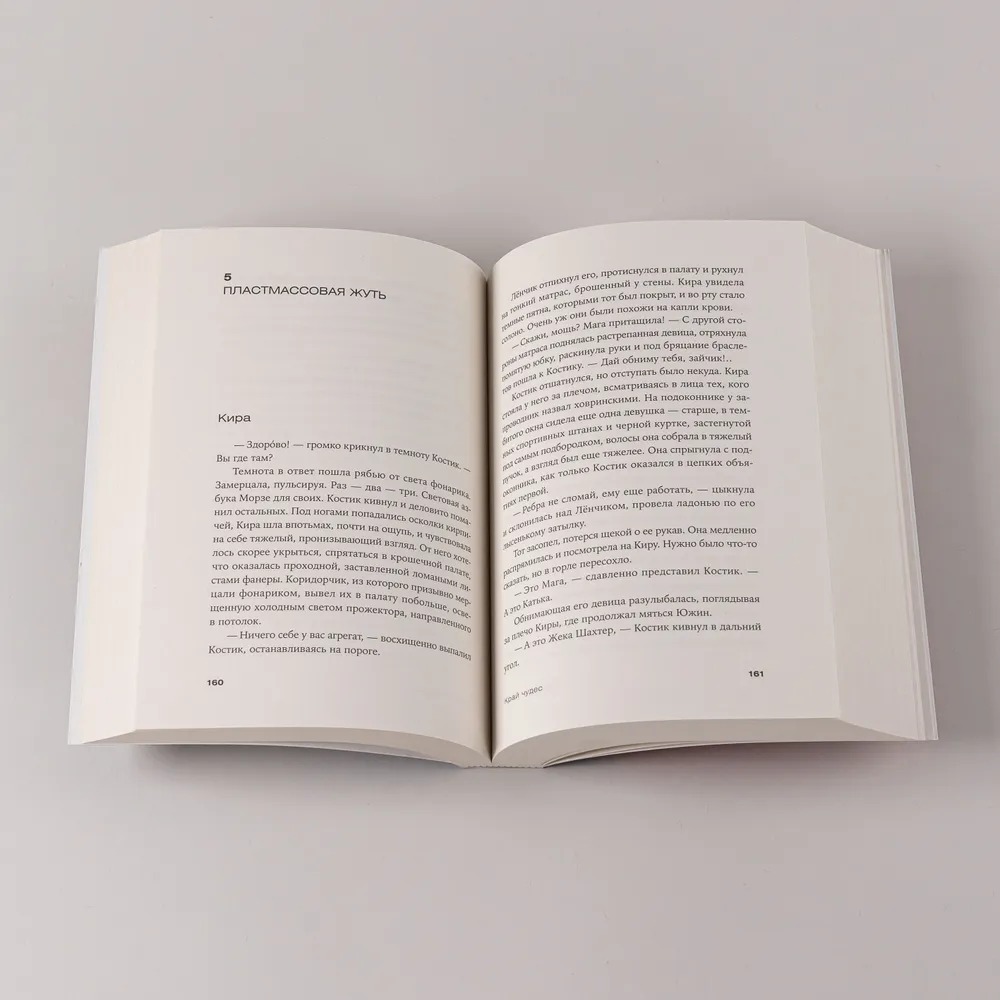 Художественная книга Альпина Край чудес, мягкая обложка (Птицева Ольга ) — фото 5