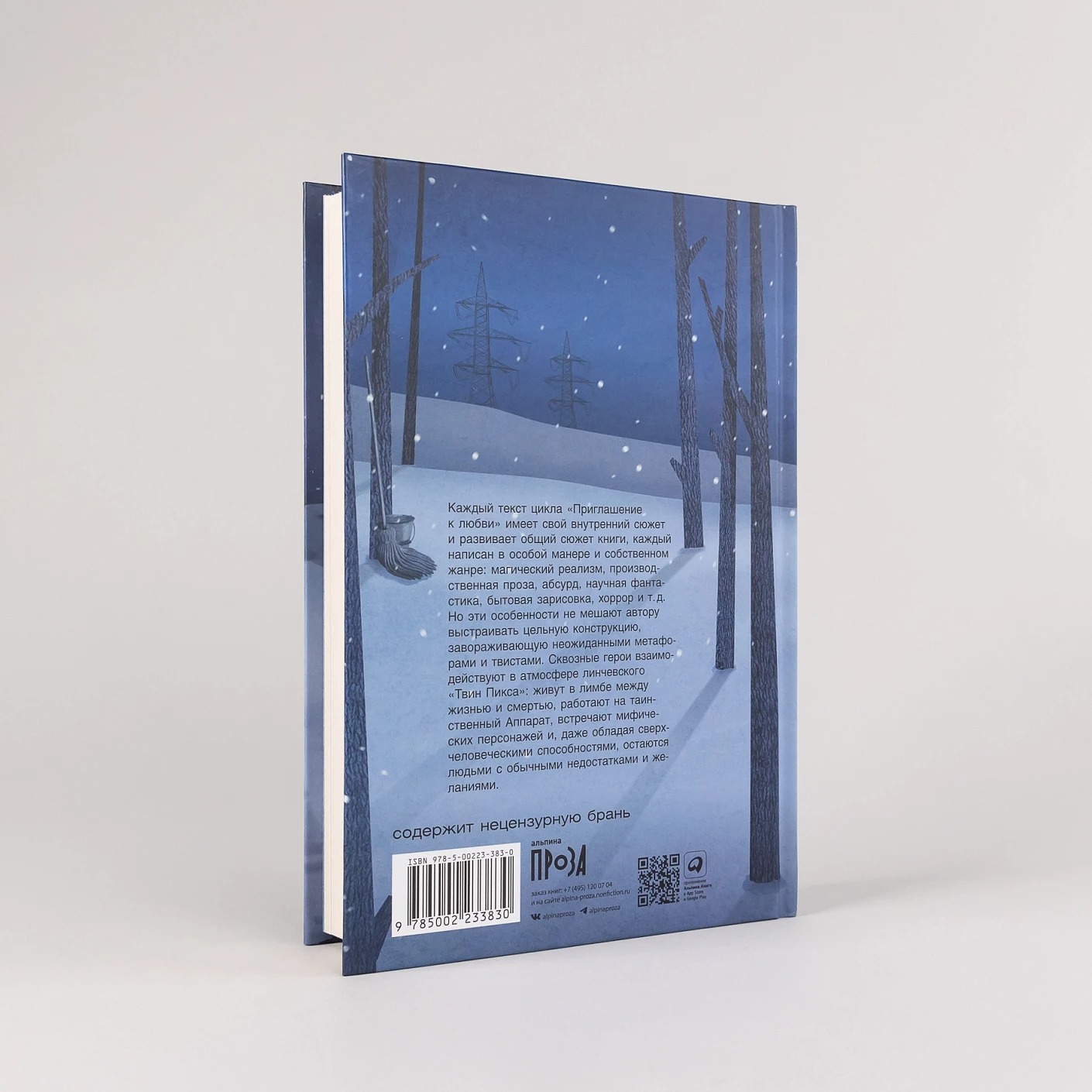 Художественная книга Альпина Приглашение к любви, твердая обложка (Газизов Ринат ) — фото 4