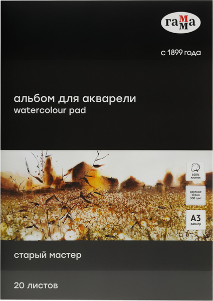 Альбом для рисования ГАММА Старый Мастер / 215538AGRC (20л)