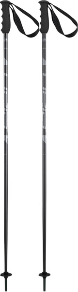 Горнолыжные палки Elan Speedrod 2024-2025 / CD532023-125