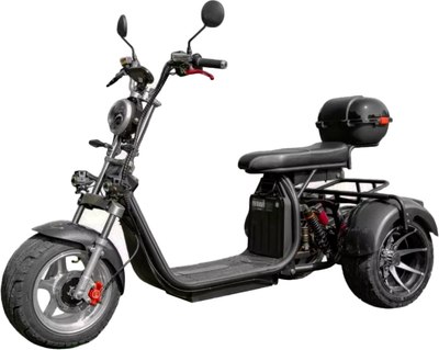 

Электроскутер, X12 Pro trike