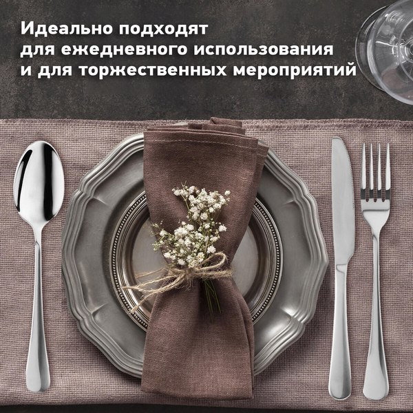 Набор столовых приборов Daswerk Premium / 609073 (24шт, серебристый)