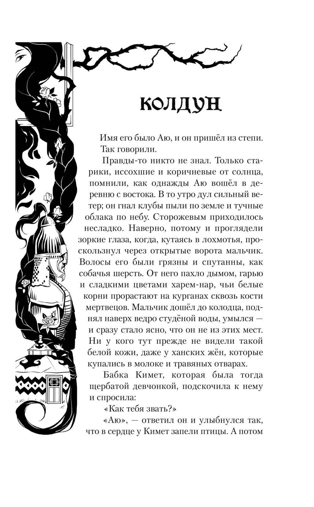 Художественная книга Черным-бело Лисы графства Рэндалл (Ролдугина Софья) — фото 5