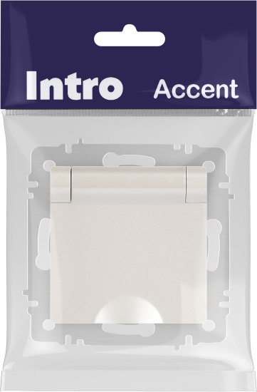 Розетка INTRO Accent 6-203-06 / Б0063429 (перламутр)