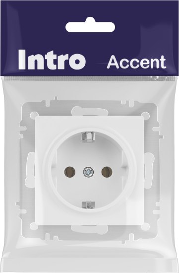 Розетка INTRO Accent 6-202-01М / Б0063681 (белый матовый)