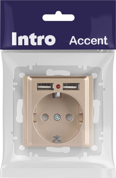 Розетка INTRO Accent 6-410-04 / Б0063696 (шампань)