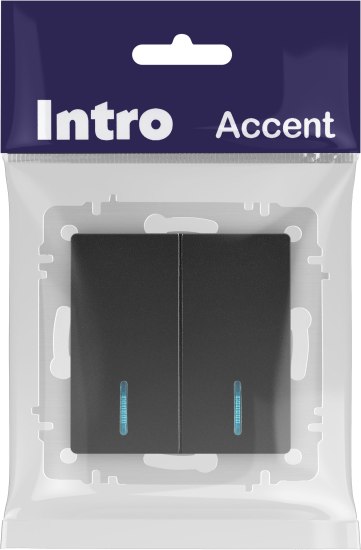 Выключатель INTRO Accent 6-105-05 / Б0063516 (антрацит)