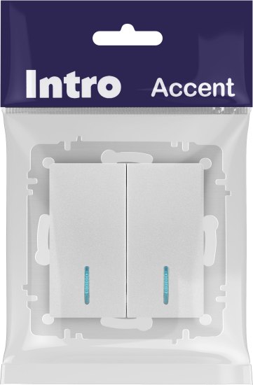 Выключатель INTRO Accent 6-105-03 / Б0063511 (алюминий)