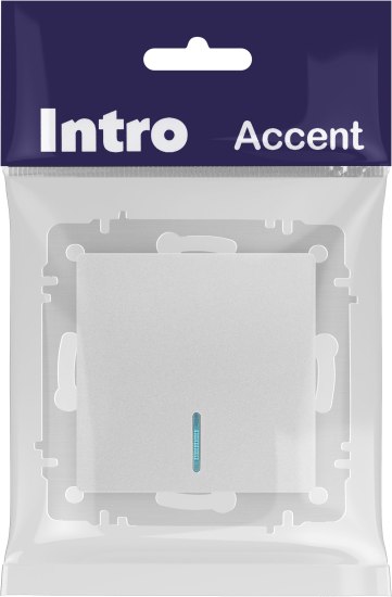 Выключатель INTRO Accent 6-102-03 / Б0063478 (алюминий)