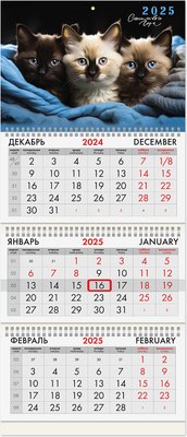 

Календарь настенный, Милые котики 2025г квартальный / 116138