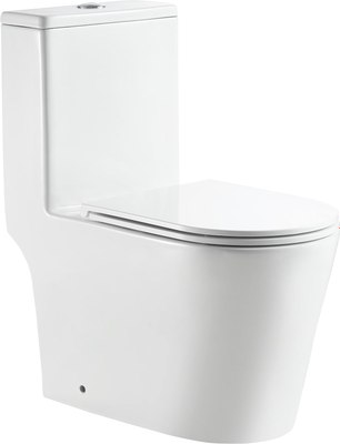 Унитаз напольный BelBagno BB673CP-MN-TOR/SC