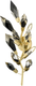 Бра Wertmark Casandra WE111.03.401 - 