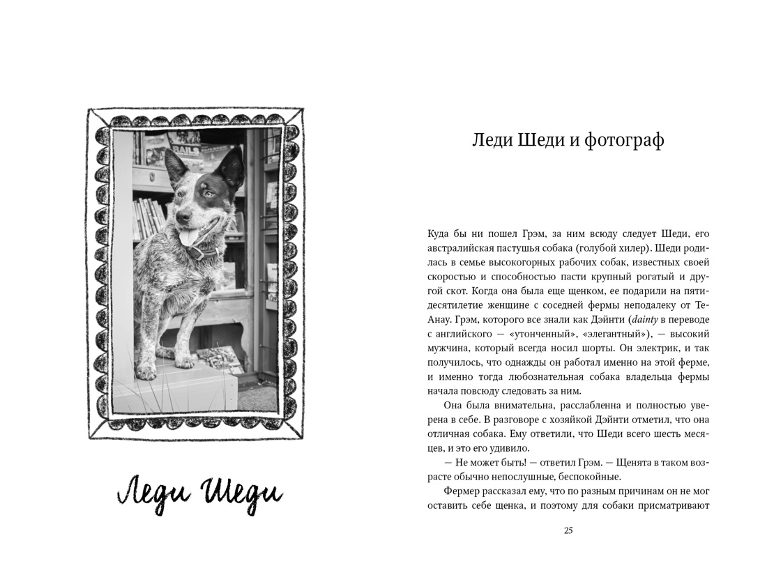 Нехудожественная книга КоЛибри Собаки книжного магазина на краю света, твердая обложка (Шоу Рут ) — фото 5
