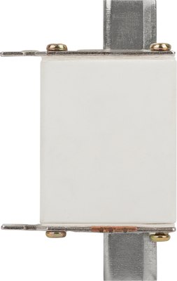

Предохранитель плавкий, Pro ppn-33-00С-100 ППН-33 / Б0063953