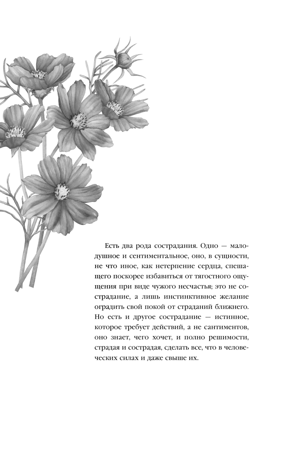 Художественная книга Эксмо Нетерпение сердца, твердая обложка (Цвейг Стефан) — фото 5