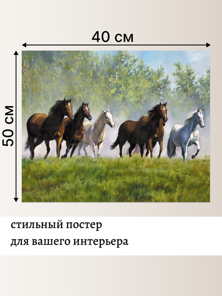 Постер Декарт Лошади Приволье 8П0010